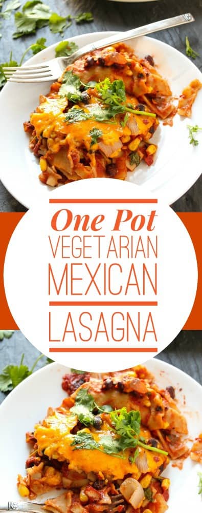 One Pot Vegetarian Mexican Lasagna