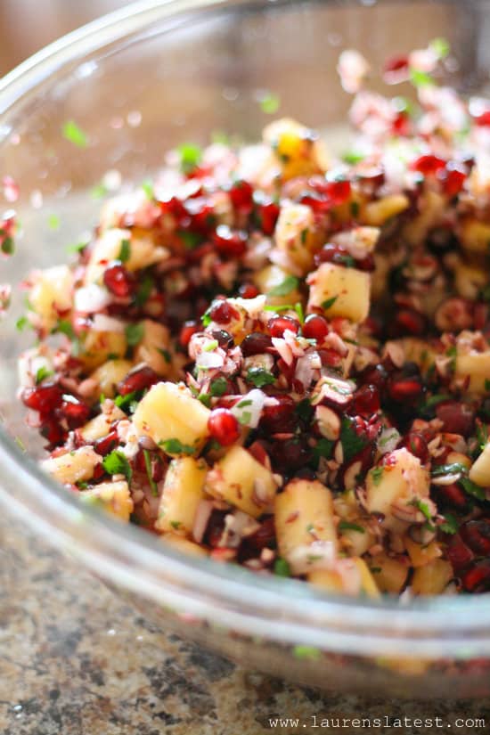 Holiday-Cranberry-Salsa-from-Laurens-Latest