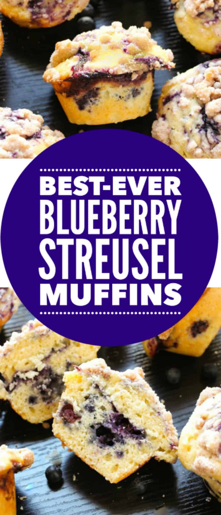 blueberry-muffins-barkery