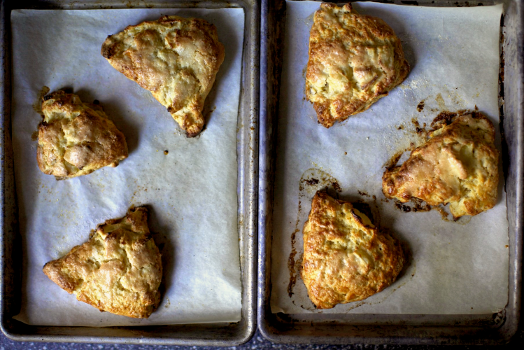 Apple cheddar scones on a baking sheet lined with parchment paper